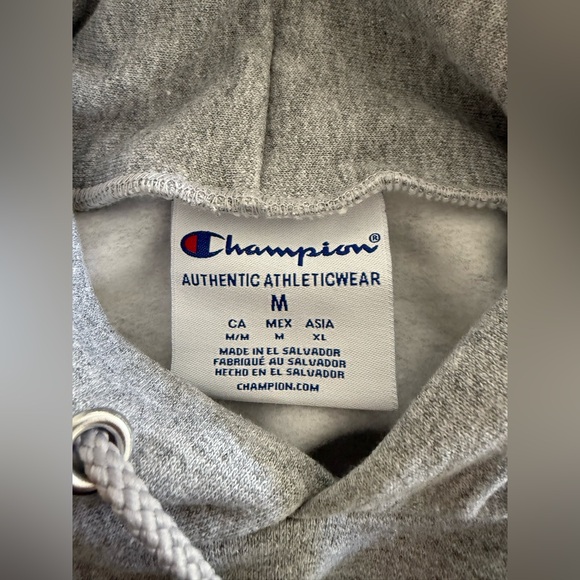 Champion Men's William & Mary Tribe Primary Logo Pullover Hoodie Medium Grey - Picture 5 of 5